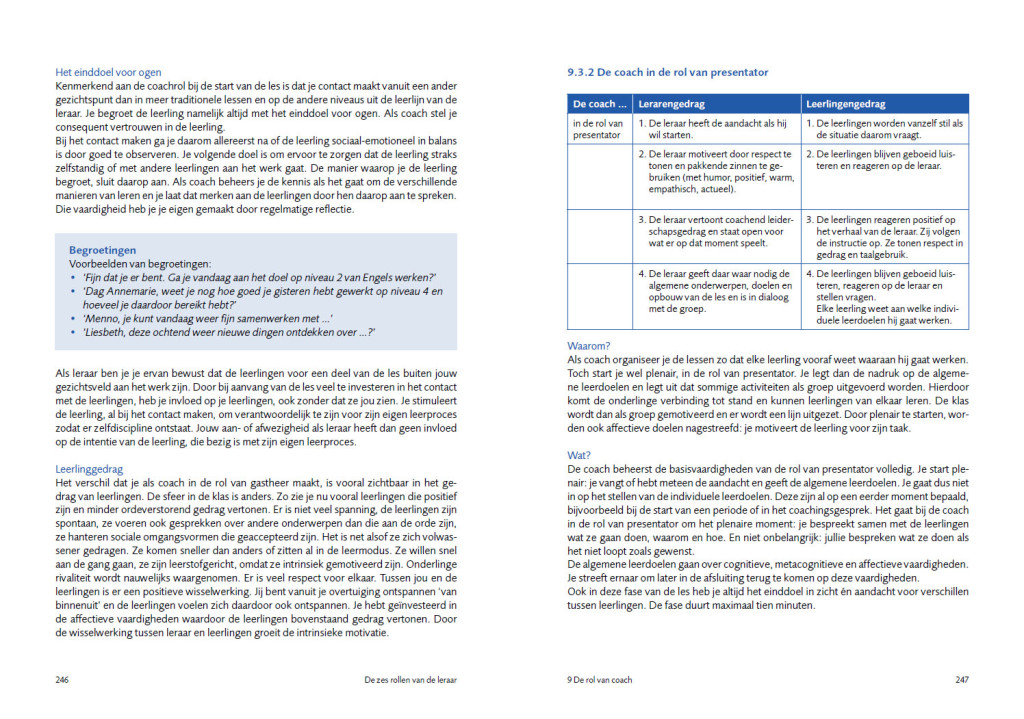 De zes rollen van de leraar - Uitgeverij Pica